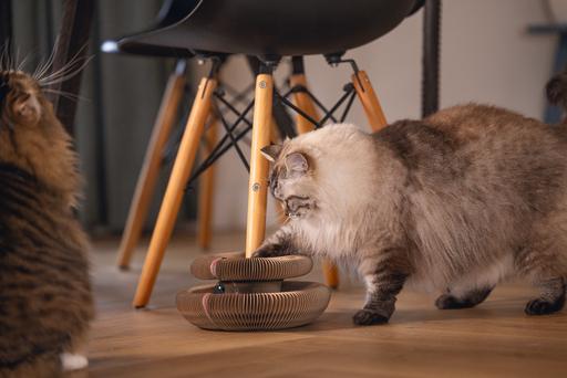 Actual product image Beeztees Hide (10 cm, Rose)