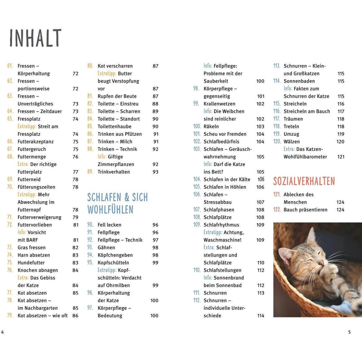Thumbnail - 300 Fragen zum Katzenverhalten, Ratgeber von Helga Hofmann