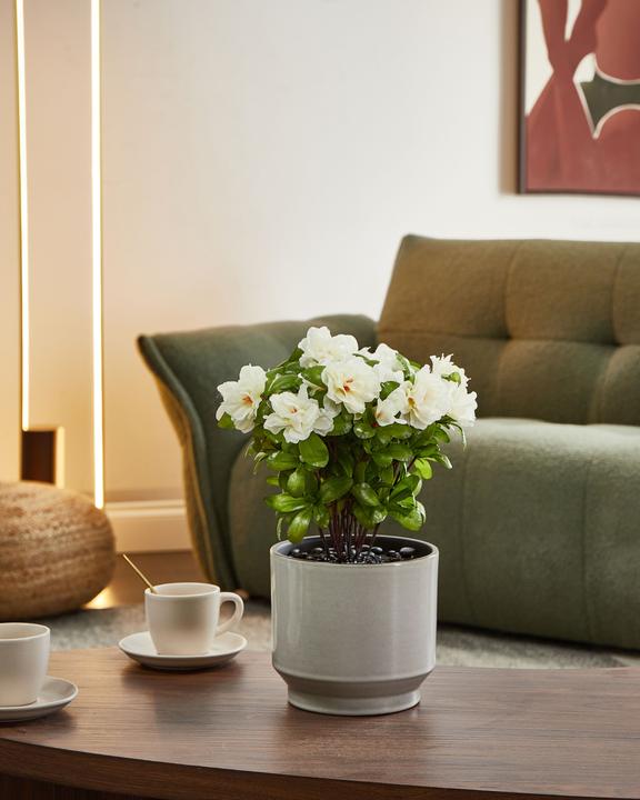 Immagine prodotto Beliani Novella (36 cm)