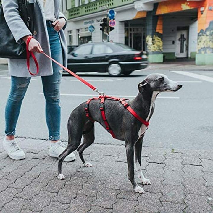 Immagine prodotto Hunter Imbracatura di sicurezza Vario Rapid (M, Cane, Generale, Passeggiare)