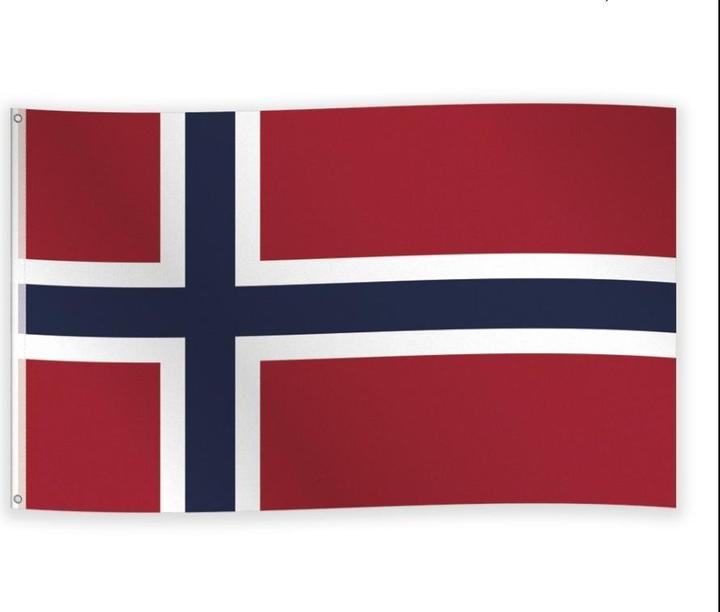 Actual product image Procos Norwegen Flagge