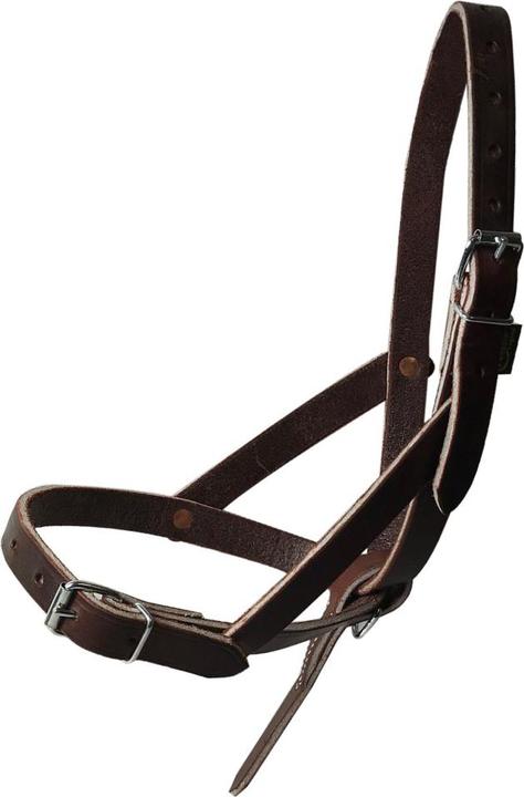 Produktbild Ronzon Legend Fohlenhalfter aus chromiertem Leder