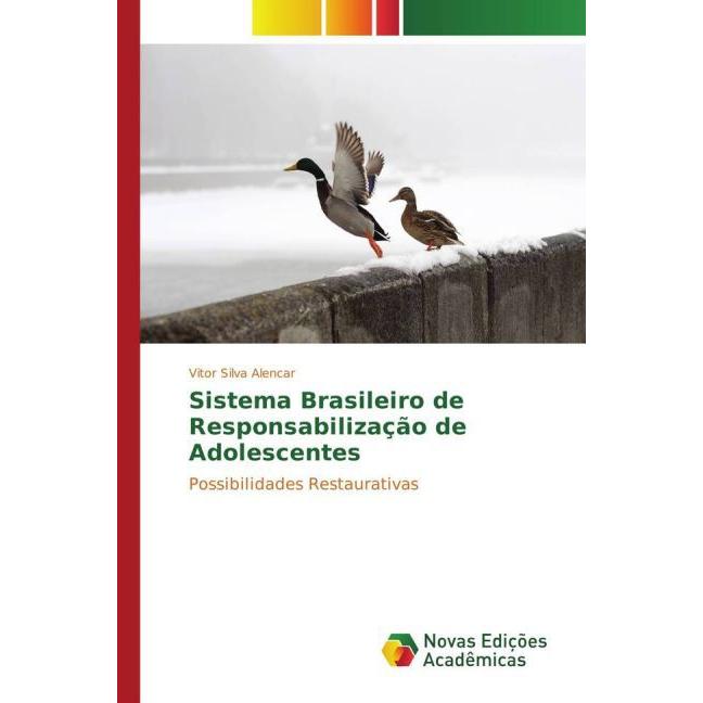 Sistema Brasileiro de Responsabilização de Adolescentes, Fachbücher von Vitor Silva Alencar