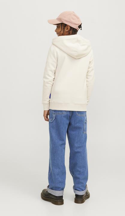 Produktbild Jack & Jones JJIALEX JJCARPENTER MF 055 JNR Baggy Fit Jeans Junior Baggy Fit Jeans (146)