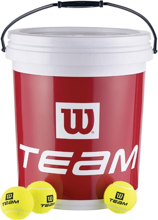Wilson Team W Trainer Balls