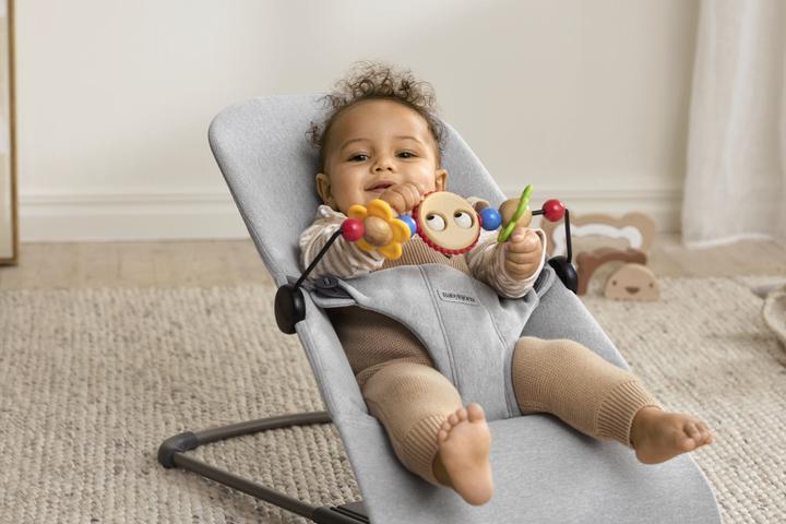 Produktbild BabyBjörn Holzspielzeug für Babysitter