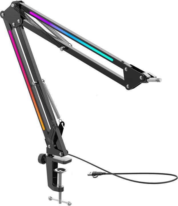 Fifine BM38 RGB Boom Mikrofonarm