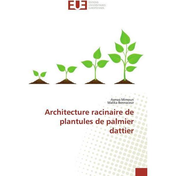 Architecture racinaire de plantules de palmier dattier, Fachbücher von Malika Bennaceur, Asmaa Mimoun