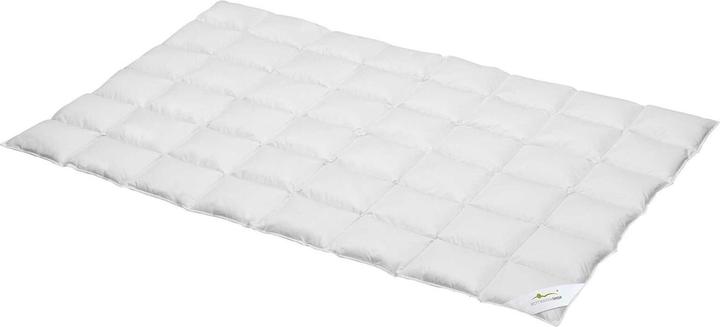 Image du produit BettwarenShop Confort léger (320 g, 135x200 cm)