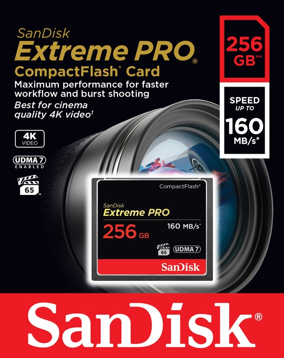 Image du produit SanDisk Extreme Pro Compact Flash (256 Go, CF)