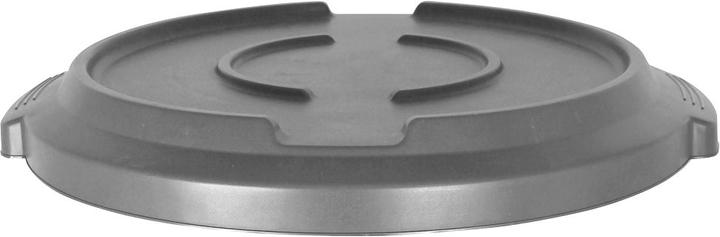 Image du produit Rotho Couvercle TITAN (85 l)