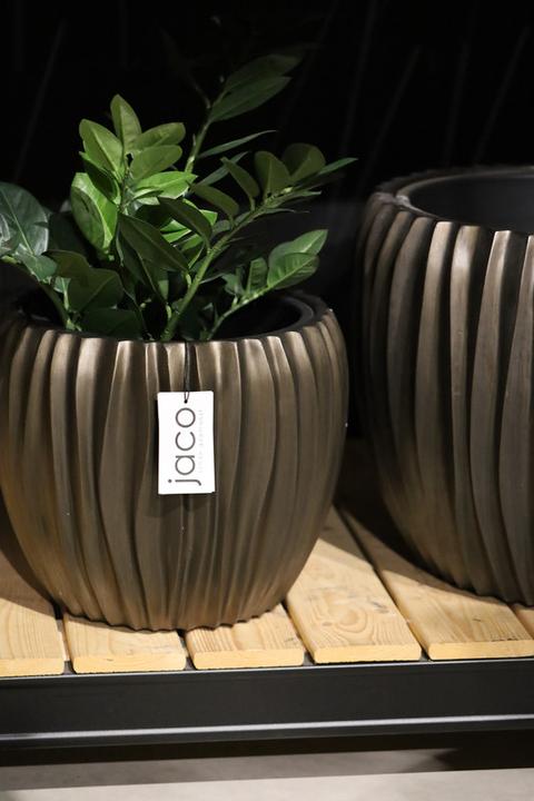 Actual product image Jaco Lite Glow Laudo (54 x 42 cm)