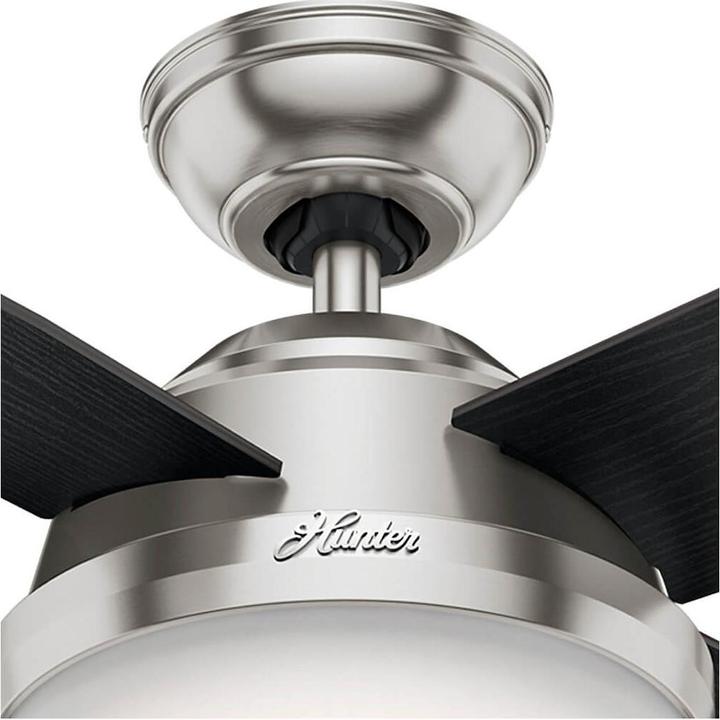 Actual product image Hunter Fans Dante (46 dB)