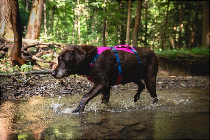 Actual product image Ruffwear Flagline dog harness (L, XL, Dog, General)