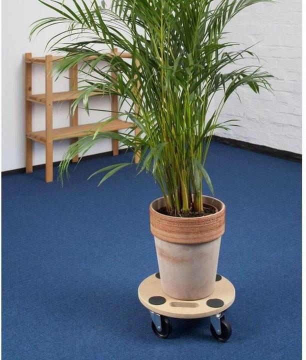 Produktbild Meister Transportroller Holz Traglast (150 kg)