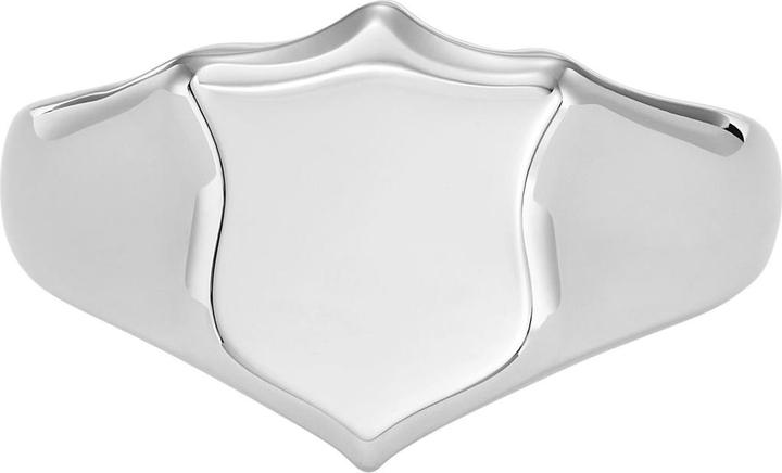 Immagine prodotto Fossil Patrimonio (63, Acciaio)