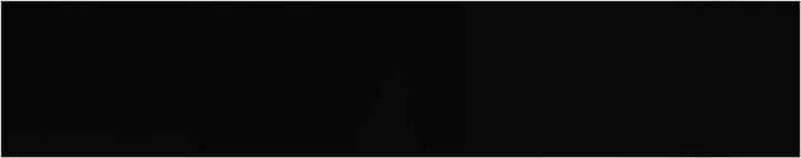 Image du produit vidaXL Rex (120 x 23,5 x 4 cm)