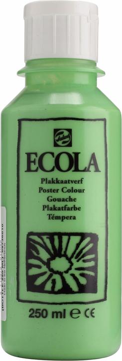 Actual product image Talens Ecola (250 ml)