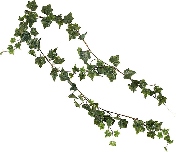 Chaks Efeu-Girlande