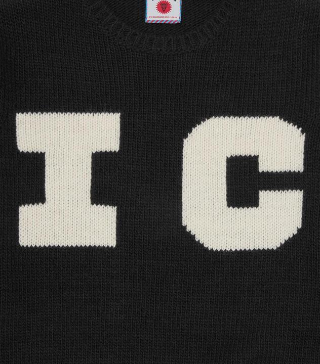 Produktbild Icecream Knitted Dog (M)