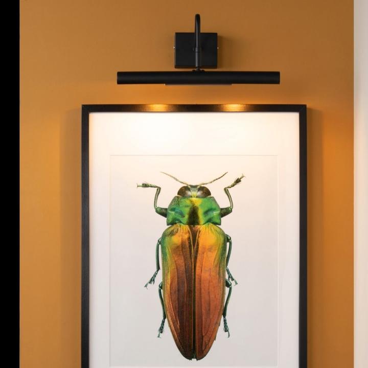 Produktbild Lucide Display & Bilderleuchten (G9)