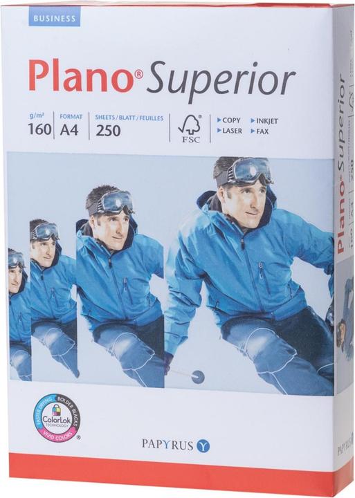 Papyrus Plano Superior