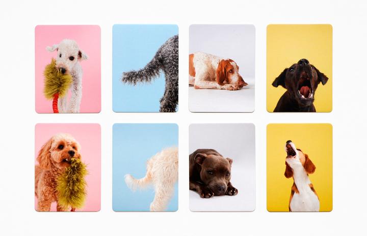 Produktbild Hundesprache (Deutsch, 1 - 2 Spieler)