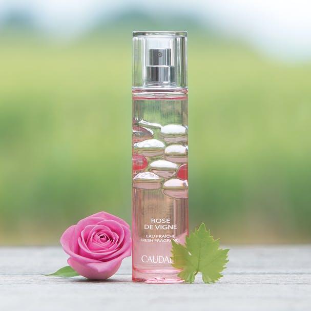 Actual product image Caudalie Rose De Vigne (Eau fraîche, 50 ml)