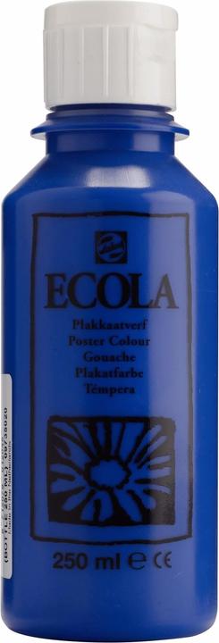 Actual product image Talens Ecola (250 ml)