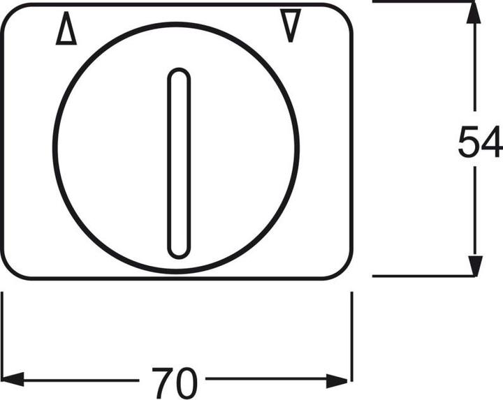 Actual product image Busch-Jaeger Central disk