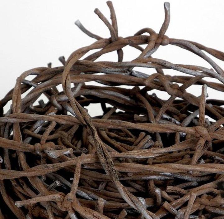 Produktbild Stacheldraht 24m (24 m)