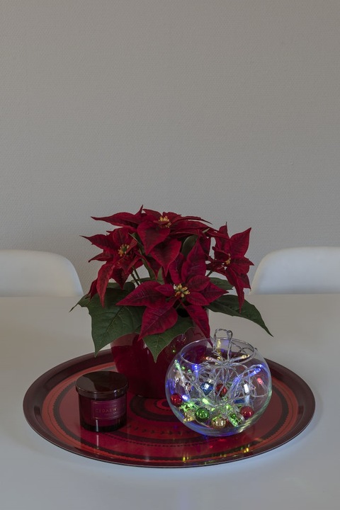 Actual product image Konstsmide LED fairy lights with switch 30 lights, battery operated (4.35 m)