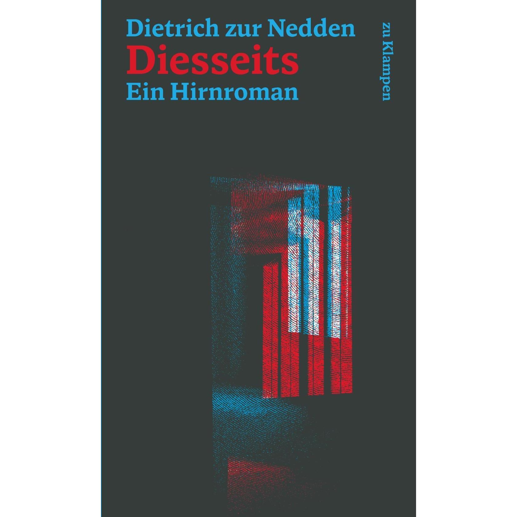 Diesseits, Belletristik von Dietrich Zur Nedden