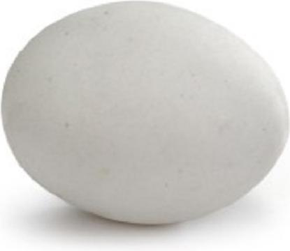 Fauna oeuf De Pigeon Pierre 4 cm