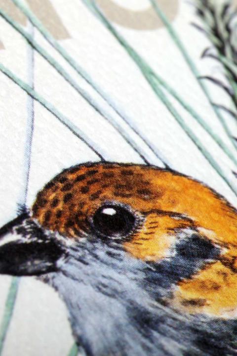 Immagine prodotto Field Notes Appunti Uccelli e alberi del Nord America