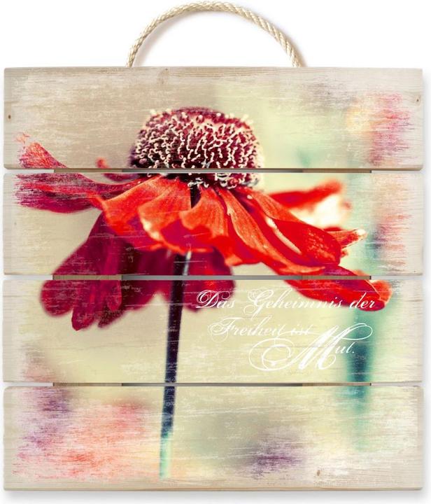 Image du produit Trenddeko Le secret de la liberté, c'est le courage (40 x 41,5 cm)