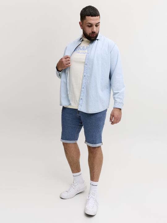 Image du produit Jack & Jones Plus Size Regular Fit Regular Fit Shorts Regular Fit Shorts (46)