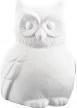 Produktbild Rayher Styropor-Eule, 13 cm