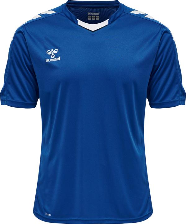 Trueblue
