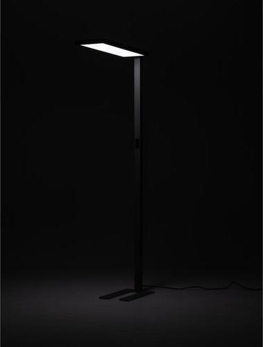 Actual product image Office Focus Focus