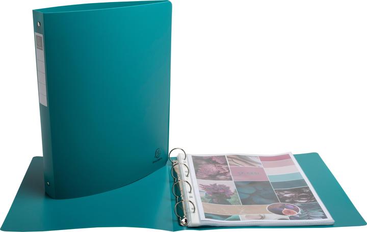 Image du produit Exacompta Classeur semi-rigide 4 anneaux PP recyclé Skandi - Couleurs assorties (A4, 20 mm, 4 pièce(s))
