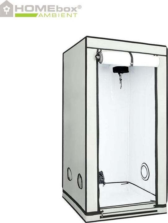 Actual product image Homebox Ambient Q80