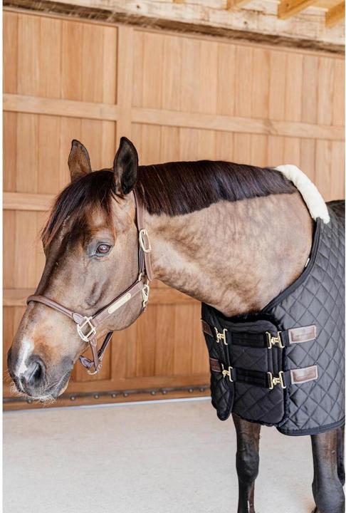 Produktbild Kentucky Horsewear Brust Verlängerer quilted Sheepskin 2 Verschlüsse