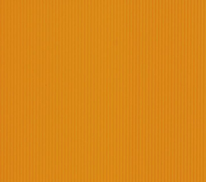 Actual product image Exacompta Display folders (A4, 1 x)