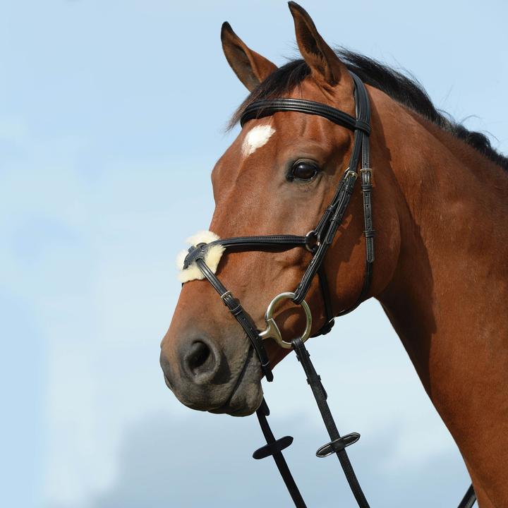 Immagine prodotto Weatherbeeta Collegiate Syntovia+