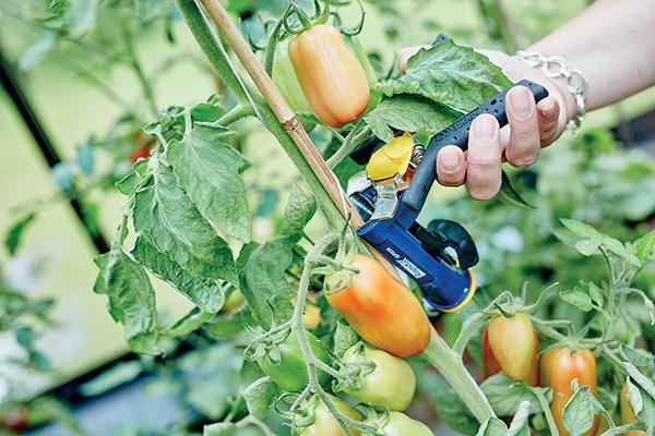 Image du produit Rapid GP238 Pince à lier (160 mm)