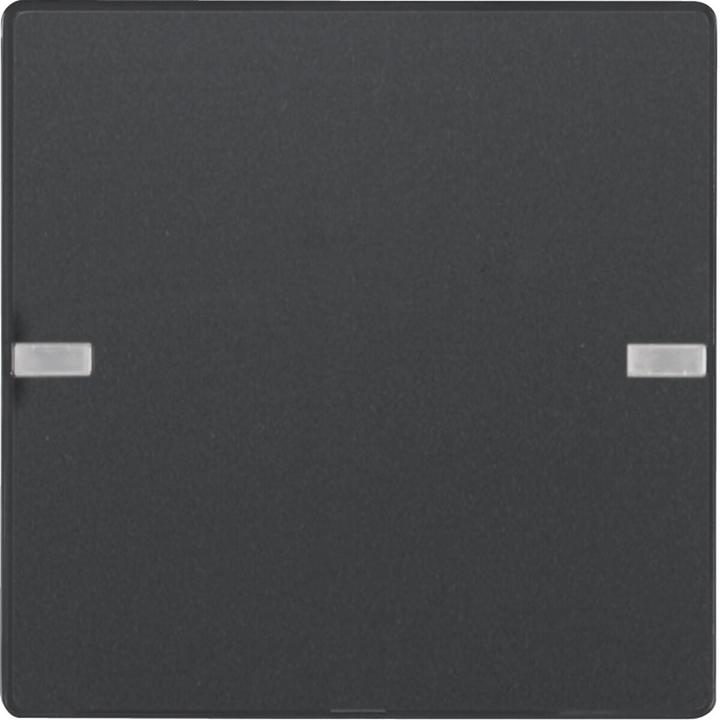 Actual product image Berker 80141326