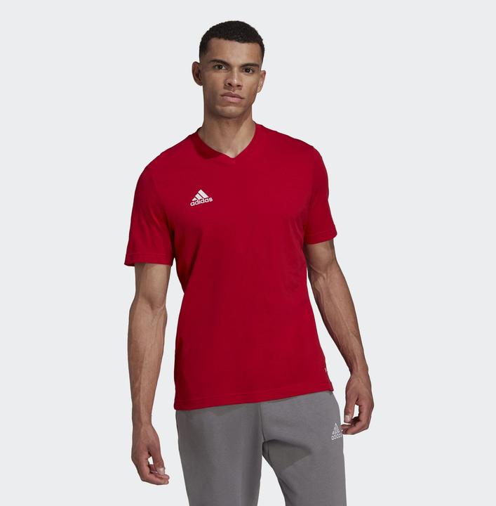 Produktbild adidas Entrada 22 T-Shirt Herren (L)