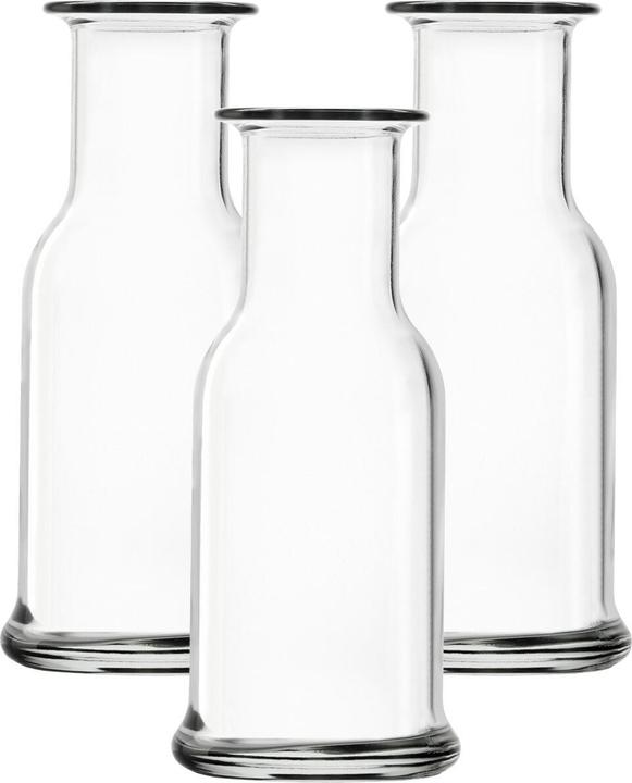 Stölzle Karaffen Purity (0.25 l)