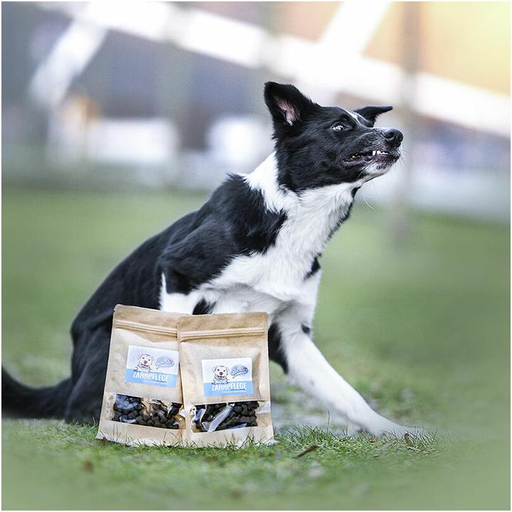 Produktbild Sollis Snack zur Zahnpflege 80g (Adult, 80 g)